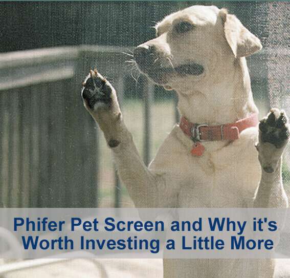 Pet Screen